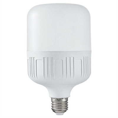 Multi Size LED Light Bulbs High Brightness and Durable for Indoor 30000 Hours Lifespan
